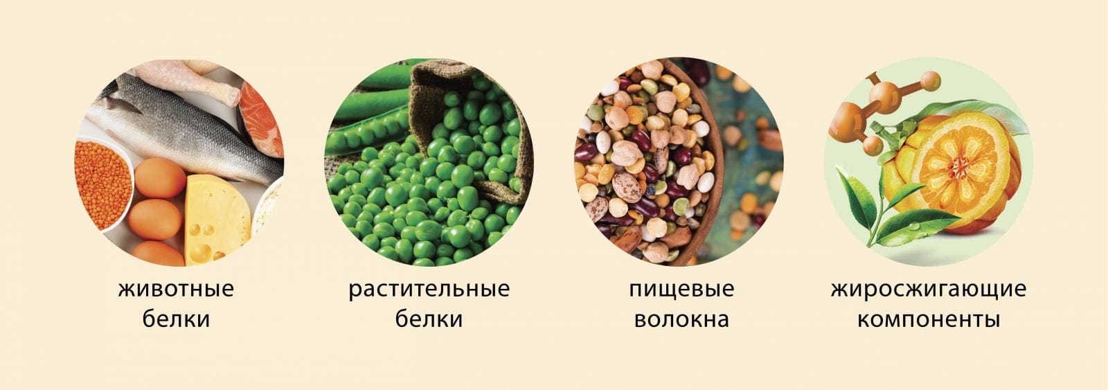Кефир куркума корица имбирь для похудения
