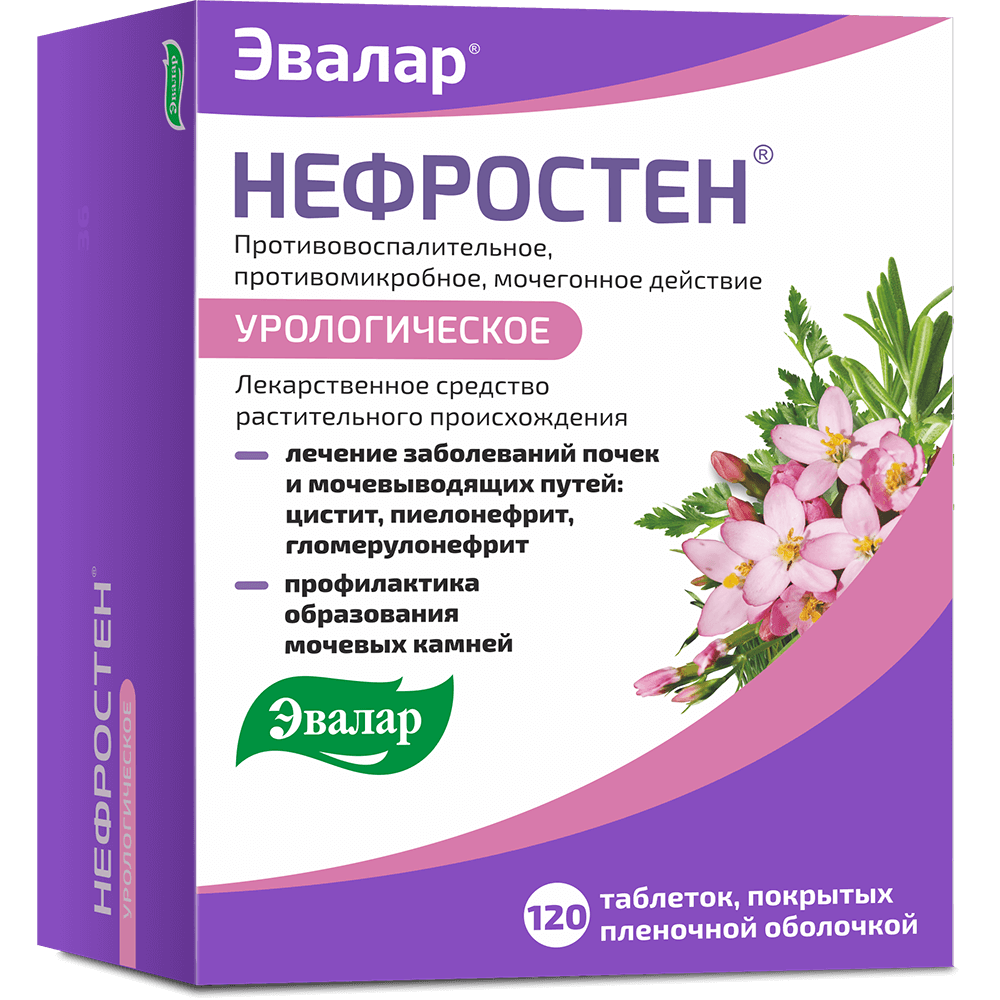 Нефростен (120 таблеток) — купить на официальном сайте Эвалар | Отзывы и  инструкция по применению