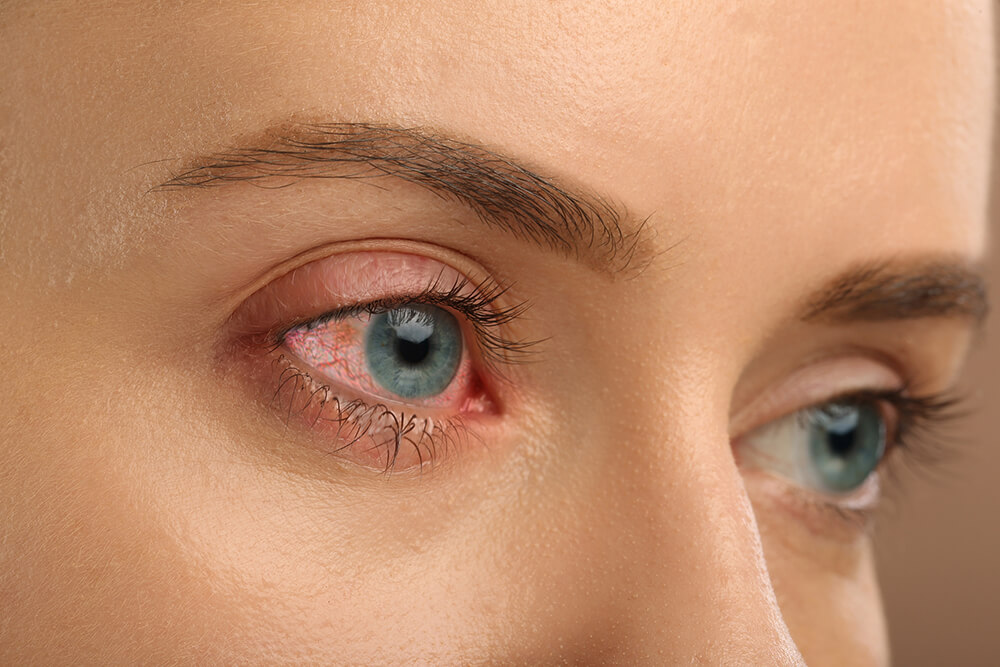 shutterstock_2591475599_.jpg
