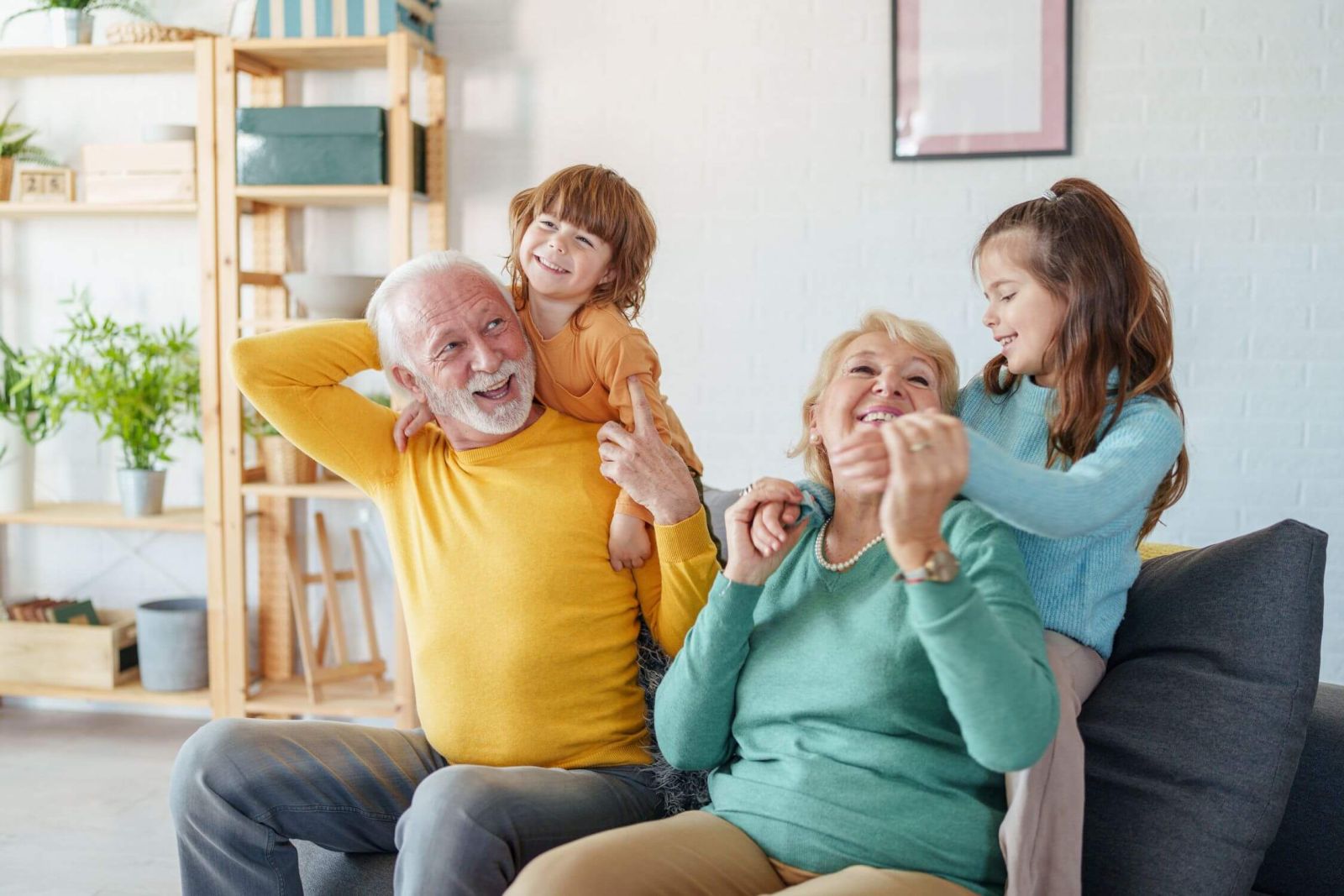 shutterstock_2614174009_.jpg