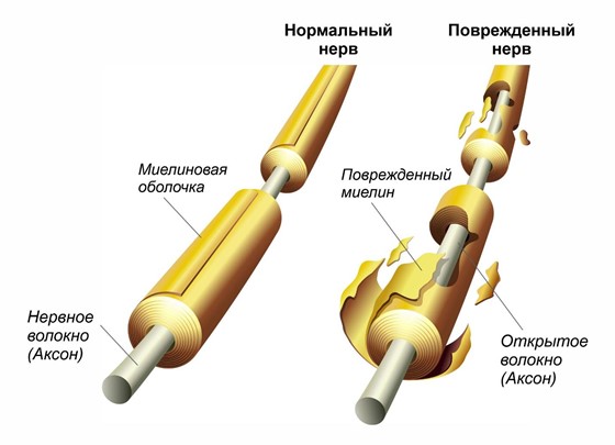 Рисунок1.jpg