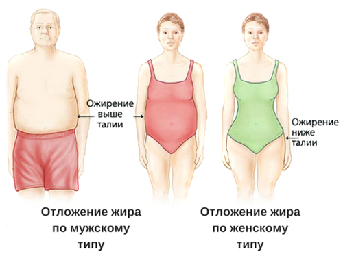 body-need-lose-weight-1.jpg
