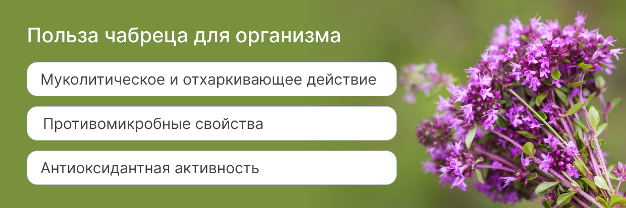 Чем полезен чабрец?