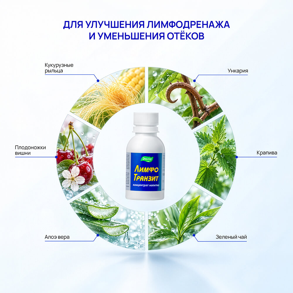 лимфотранзит_3.jpg